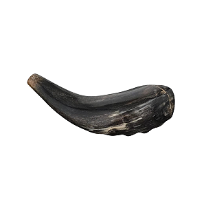 Shofar E1 - Importado de Israel