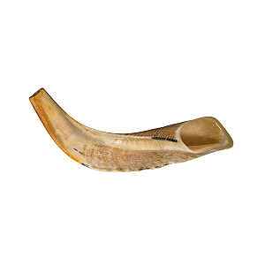 Shofar C3 - Importado de Israel
