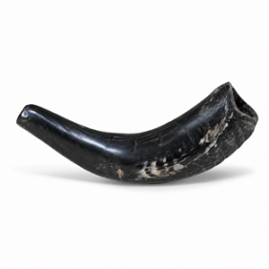Shofar D2 - 100% Kosher Importado de Israel - cor sortida
