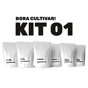 KIT 01 - Solo Simples