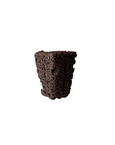 Plug - Enraizamento de mudas