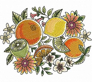 Matriz Bordado Pano De Prato Frutas Cítricas E Abelhinha