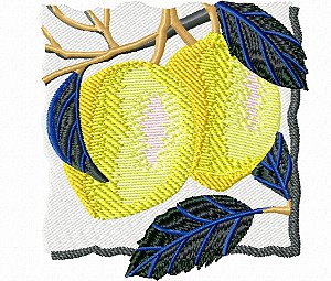 Matriz Bordado Pano De Prato Frutas Com Fundo