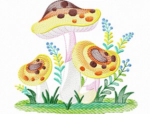 Matriz Bordado Pano De Prato Cogumelos Coloridos