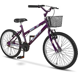 Bicicleta Aro 20 Dks Infantil Menina Criança Mtb Com Cesta - Roxo