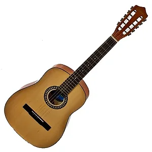 Viola 10 Cordas Austin usada
