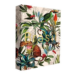 LIVRO BRASIL, ARQUITETURA E DECORAÇÃO - ÍCONES 2