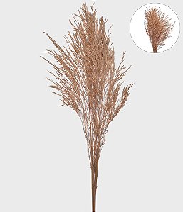 HT CAPIM ARROZ NATURAL