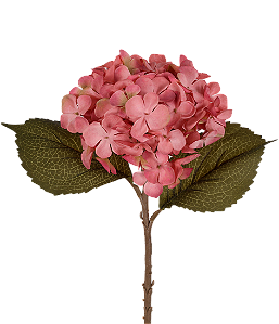 HASTE HORTÊNSIA SILVESTRE BLUSH