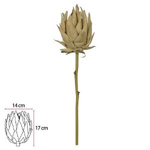 HASTE PROTEA PALHA 53cm