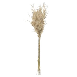 PLUMINHA DESIDRATADA 40 CM - NATURAL