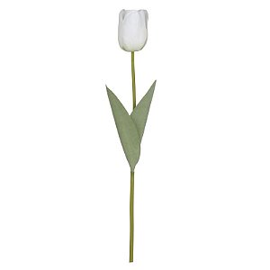 TULIPA REAL TOQUE BRANCA