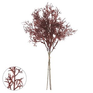 ASTILBE MARSALA EM RAMALHETE 40CM