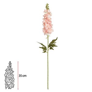 DELFINIUM ROSA