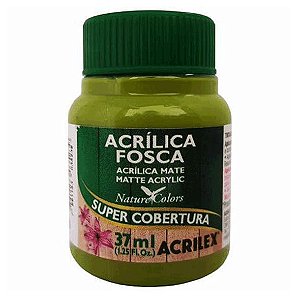 Tinta Acrílica Fosca Acrilex 37ml - Verde Pistache 570