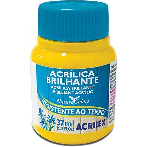 Tinta Acrílica Brilhante Acrilex 37ml - Amarelo Ouro 505