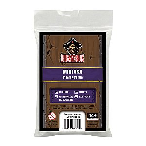 Sleeve MINI USA (41 x 63)