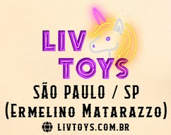 FRETE | FC BUCANEIROS COLLECTION - RETIRADA LIV TOYS