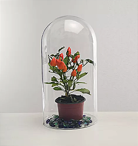 Redoma Cúpula De Vidro 18,3 X 30,0 S/ Base