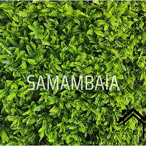 Painel Verde Samambaia