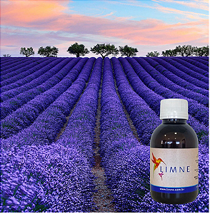 ESSÊNCIA LAVANDA FRANCESA 100ML