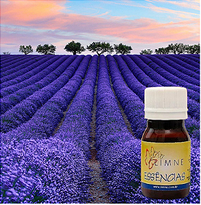ESSÊNCIA LAVANDA FRANCESA 30ML