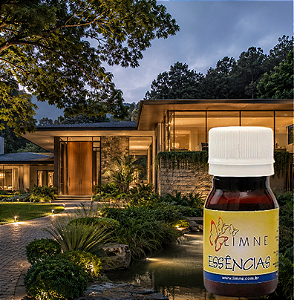 ESSÊNCIA ARTEMÃO 30ML