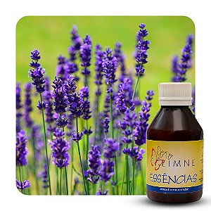 ESSÊNCIA LAVANDA