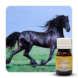 ESSÊNCIA BLACK HORSE 30ML