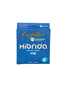 BOINA DE LA HIBRIDA AZUL 6" - CADILLAC