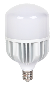 Lâmpada Sorte Luz Led Globo 80W 6500K