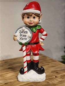 ELFO COM LED EM RESINA 50,5CM