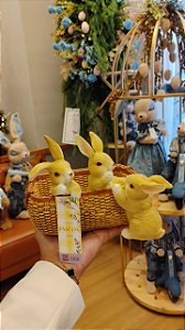 COELHO FILHOTE NA CESTA 20CM - PRÉ VENDA 2026