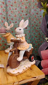 COELHA NO TRICICLO 20CM - PRÉ VENDA 2026