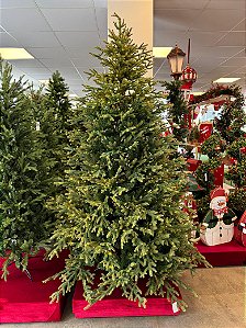 ÁRVORE LUXO PINHEIRO SUPER REALISTA MELBOURNE 1,80CM 744 GALHOS COM 2000 LEDS FIO DE FADA - PRÉ VENDA 2026