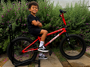 BICICLETA ARO (20) MASCULINA COR VERMELHA METÁLICO S/ MARCHA C/ ROTOR E PEDANA PRO-X SERIE 10