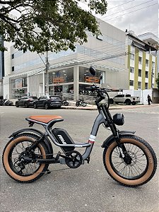 BICICLETA ELÉTRICA RAVA E-PULSE ALLOY 48V BATERIA LITIO 15.6AH