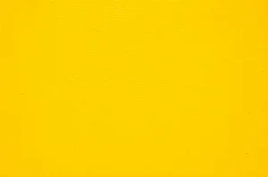 06.p. Pigmento Amarelo de Cádmio  - Joules & Joules