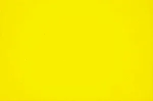 04.p. Pigmento Amarelo de Cádmio Limão  - Joules & Joules