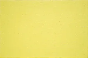 03.p. Pigmento Amarelo de Níquel - Joules & Joules