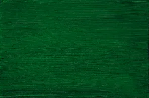 25.p. Pigmento Verde Ftalo Sombra Amarela - Joules & Joules