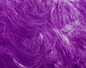 .t. Tinta a Óleo VIOLETA COBALTO Joules & Joules