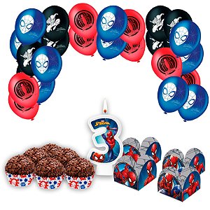 Kit Festa 426 itens Homem Aranha decoração aniversário