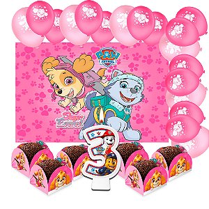 Kit festa Patrulha Canina Rosa Skye Decoração Aniver 77pçs