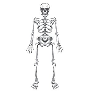 Painel Decoração Halloween Esqueleto Horripilante 101,5m