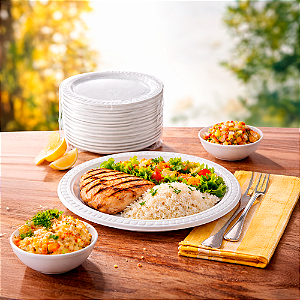 10 Pratos refeição Descartável Festa Aniversário Branco 25cm