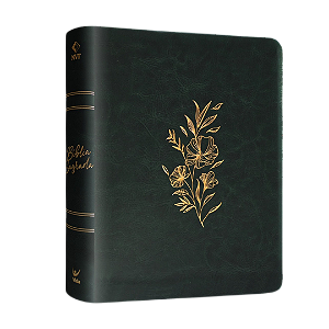 Bíblia Mulheres NVT - 2 colunas - Viviane Martinello