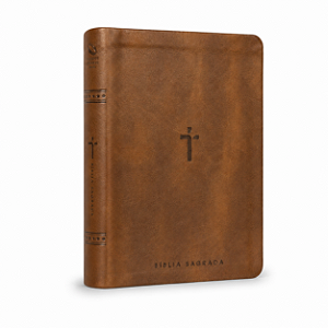 Biblia Sagrada NAA - Letra Gigante - Com Índice