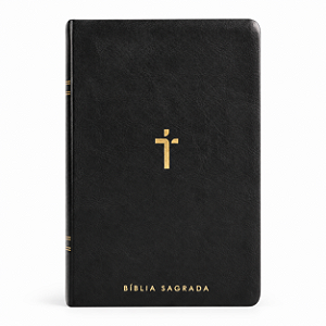 Biblia Sagrada NAA | Letra Gigante | Preta Com Índice