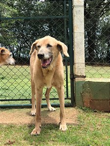 Presente de Natal para CIÇA